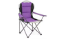 Leisure Camping Padded Chair Picnic Comfortable Reinforced Armchair