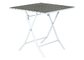 Lightweight Polywood Aluminum Folding Camping Table With PS Plate Material